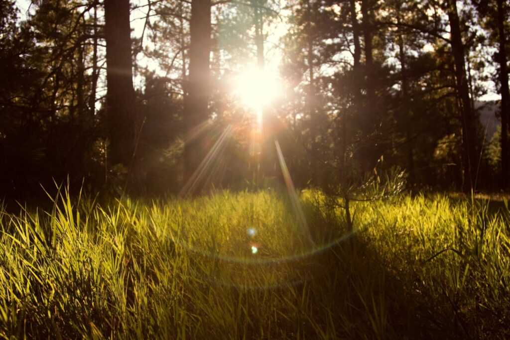New NR study explores NAD+, circadian rhythm and cardiac ageing