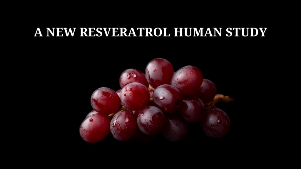 Resveratrol, Your Gut, and Insulin Sensitivity: What a New Human Study Found