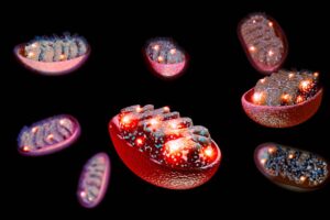 Energy and metabolism